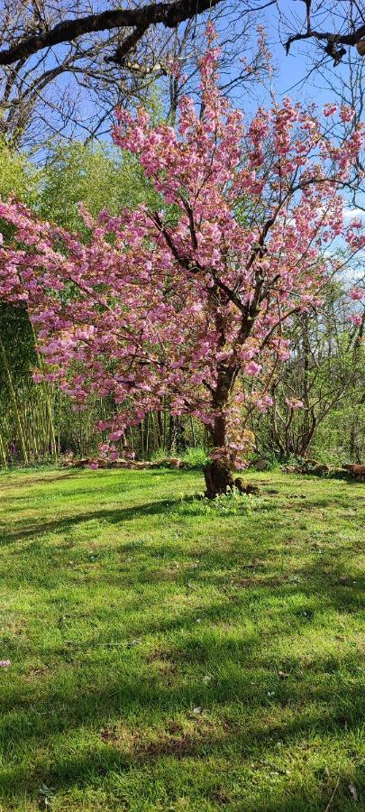 Aux Couleurs D'Esteil Sainte-Nathalène Esterno foto